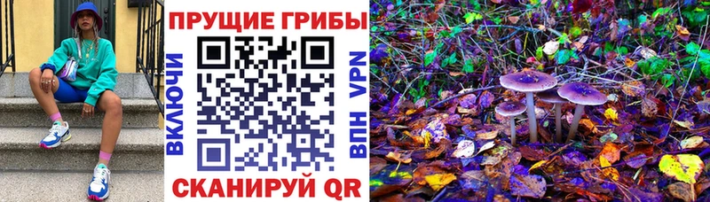 Псилоцибиновые грибы Magic Shrooms  где можно купить   Мглин 