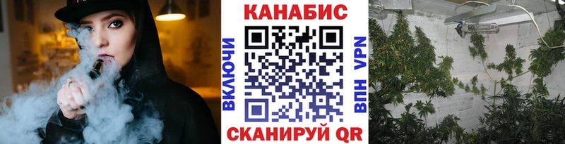 купить наркотик  Мглин  Конопля конопля 